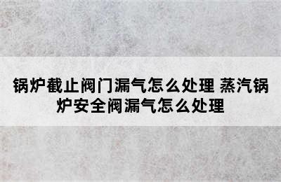 锅炉截止阀门漏气怎么处理 蒸汽锅炉安全阀漏气怎么处理